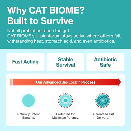 Vista 6 de Doctor By Biome Probióticos para gatos Anti Diarrea Apoyo para el Intestino Felino y Digestivo Salud Inmunológica Estómago Sensible Estreñimiento