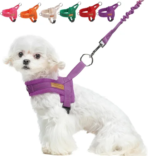 Vista 17 de BEAUTYZOO Arnés para Perros Pequeños, Juego de Arnés y Correa sin Tirones, Arnés de Pecho para Cachorros a Prueba de Escapes con Mango, Arnés Beige
