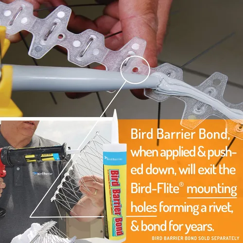 Vista 5 de Bird Barrier Bird-Flite - Espigas para pájaros de acero inoxidable