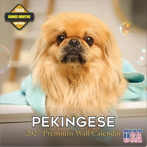 Vista 18 de Calendario de Lebrel Afgano 2025 2026, calendario mensual de pared de raza canina, 12" x 18" abierto, papel grueso sin traspaso, ideal para regalo