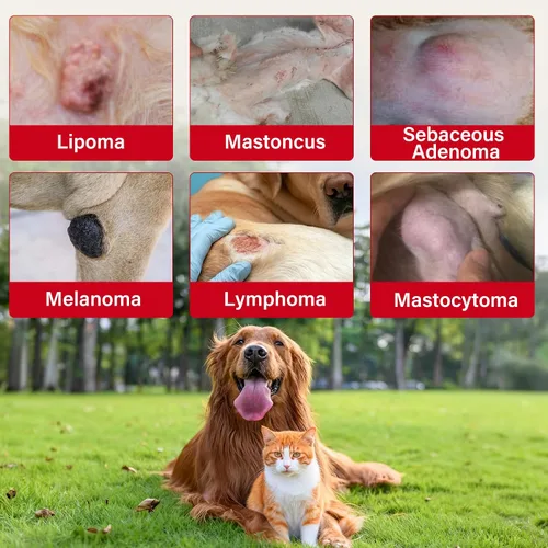 Vista 3 de Tratamiento de lipoma para perros y gatos, bálsamo para perros con aceite de ricino, crema DMSO, apoya la comodidad de las articulaciones