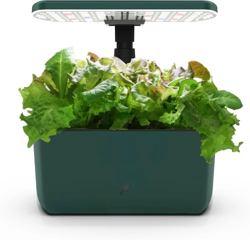 Vista 15 de Sistema hidropónico de jardín interior AeroGarden Harvest con luz de cultivo LED y kit de hierbas, con capacidad para hasta 6 cápsulas, color blanco