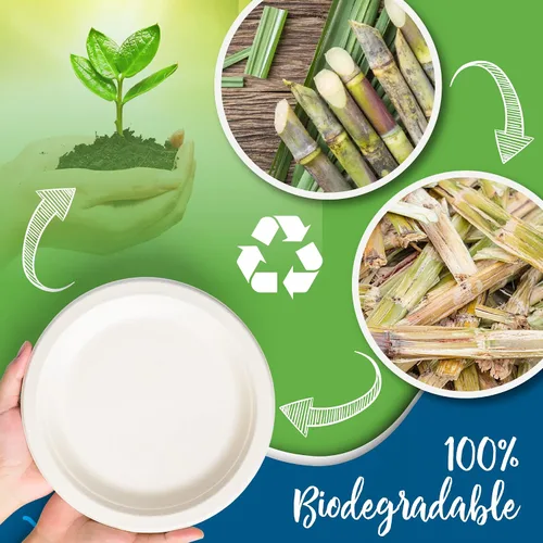 Vista 2 de Platos de papel blanco, 7 pulgadas, 150 unidades, fibra de caña de azúcar de grado alimenticio, compostable y biodegradable, para microondas