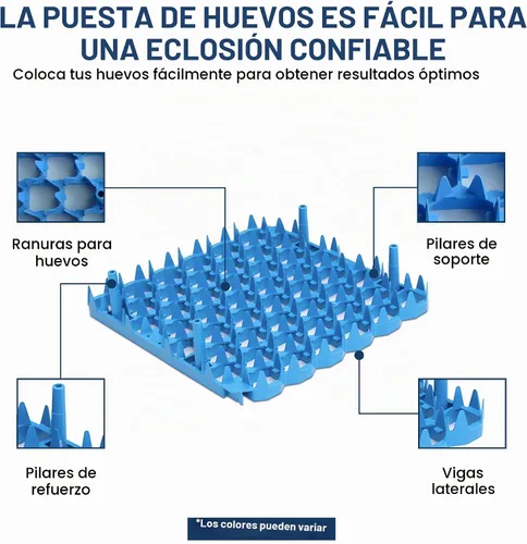 Vista 5 de Bandejas universales para huevos de pollo (paquete de 6)