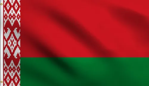 Vista 9 de DMSE - Bandera nacional beninesa beninesa de la República de África Occidental, 2 x 3 pies, 100 % poliéster, 100 % poliéster, resistente a los rayos