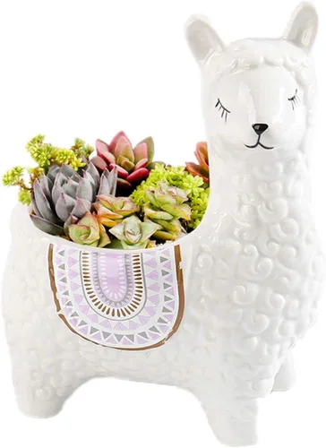 Vista 5 de Lindas macetas suculentas de alpaca maceta de cerámica pequeña cactus maceta azul