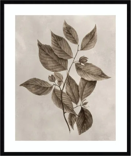Vista 19 de Amanti Art Lienzo decorativo para pared enmarcado de 24 x 20 pulgadas, muestra de árbol III de Vision Studio, arte de pared de naturaleza
