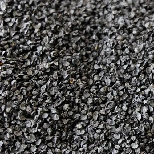 Vista 4 de Semillas de germinación de cebolla y microgreens – 1 libra – Sin OMG, sin químicos – Semillas de alta germinación para brotes de cebolla frescos