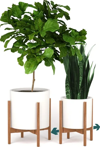 Vista 8 de Fox & Fern - Soporte ajustable alto para plantas de interior — 8 a 12 pulgadas, soporte premium de bambú de estilo moderno de mediados de siglo