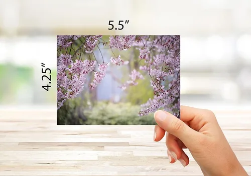 Vista 3 de Small World Greetings Spring Blossoms - Tarjetas de notas de flores, 12 unidades, interior en blanco con sobres blancos, tamaño A2 de 5.5 x 4.25