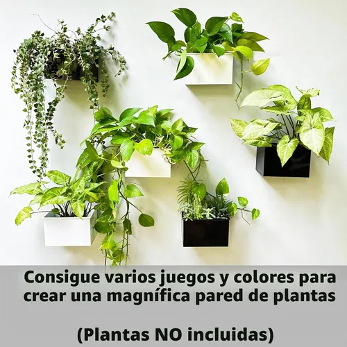 Vista 4 de LaLaGreen - Maceta de pared, paquete de 3, macetas de montaje en pared de 6 pulgadas para suculentas, color blanco, maceta rectangular de metal