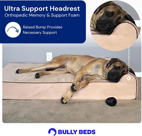 Vista 5 de Bully Beds Cama ortopédica para perros – Cama de espuma viscoelástica para perros artríticos y ancianos – Cama para perros lavable a máquina