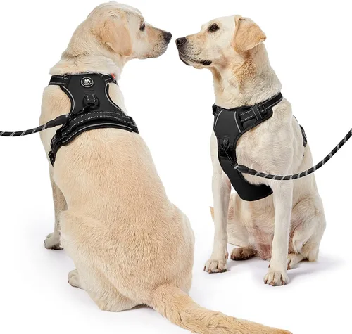 Vista 2 de NESTROAD Arnés para Perro Sin Tirones, Arnés de Chaleco para Perro Oxford Ajustable con Correa, Arnés Reflectante Sin Ahogo para Mascotas con Mango