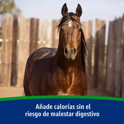 Vista 3 de Farnam - Suplemento de soporte de peso para caballos, suministro para 30 días Ayuda a mantener el peso óptimo y la condición corporal, proporciona