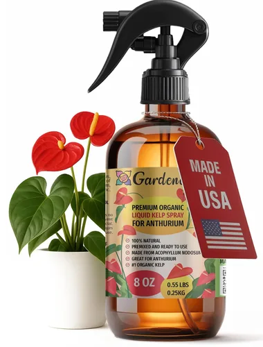 Vista 18 de GARDENERA Spray orgánico profesional de algas marinas para plantas AGLAONEMA – 8 oz – Rocío fertilizante de algas marinas y algas marinas totalmente