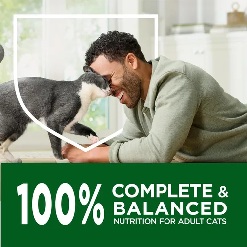 Vista 21 de Purina Cat Chow Comida seca para gatos de interior con peso saludable y control de bolas de pelo con pollo - (Paquete de 4) Bolsas de 3.15 lb