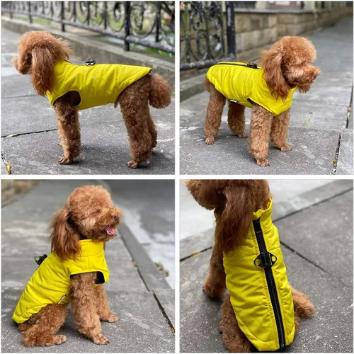 Vista 4 de Lovelonglong - Chaleco de invierno para perro con forro de algodón, impermeable, ultra cálido, abrigo de invierno para perros pequeños, medianos