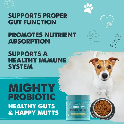 Vista 2 de Mighty Paw Waggables - Probióticos masticables para perros (hechos en Estados Unidos) Probióticos para perros y enzimas digestivas. Probiótico