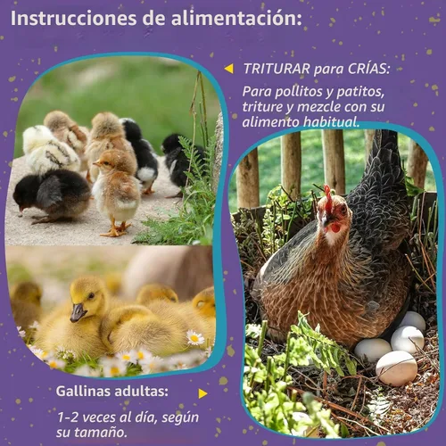 Vista 6 de 10LB Dried Mealworms for Chickens - 52% Protein for Growth