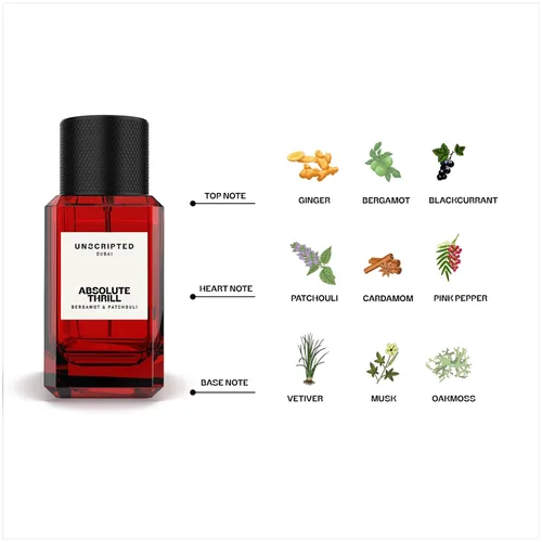 Vista 2 de Unscripted Absolute Thrill – Perfume audaz y único para hombres – Perfume de larga duración con bergamota, pachulí, grosella negra y jengibre – 1.7