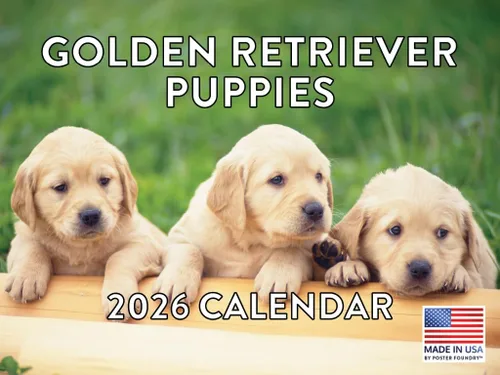 Vista 16 de Calendario mensual de pared Airedale Terrier Dog 2027 rojo (Airedale Terrier)