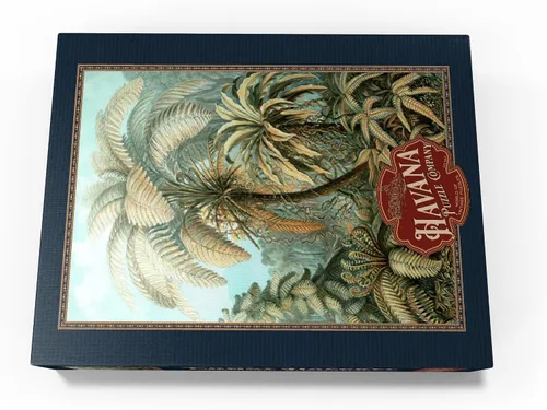 Vista 4 de MyPuzzle Fern (Filicinae) - Formas de arte en la naturaleza, póster de arte vintage, Ernst Haeckel - Rompecabezas prémium de 1000 piezas para adultos