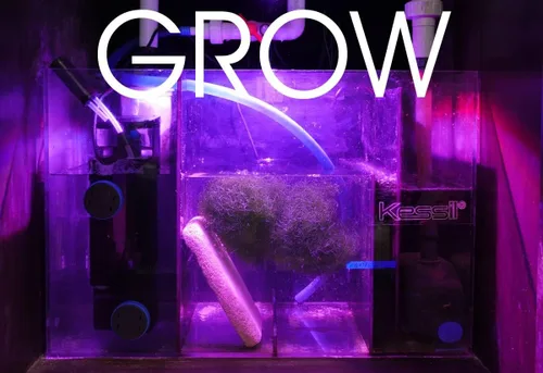 Vista 7 de Kessil Luz LED de cultivo de refugio de flora de atún H160