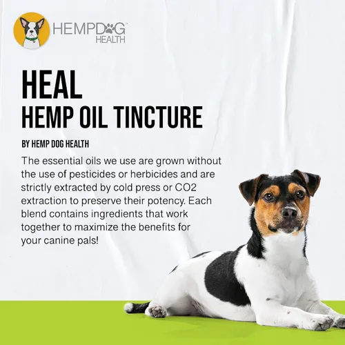 Vista 3 de HEAL - Aceite de cáñamo para mascotas para perros - Sistema inmunológico y apoyo para perros mayores - Equilibrio neurológico y suprarrenal - Gotas