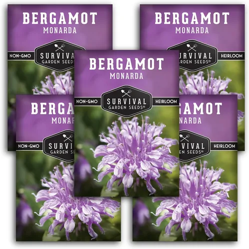 Vista 12 de Semillas de bálsamo de abeja para plantar, bergamota silvestre (Monarda Fistulosa), flores silvestres nativas perennes y hierbas medicinales