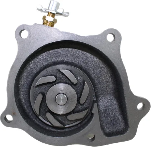 Vista 2 de Bomba de agua E-RE518520 para John Deere 4120, 4320, 4520, 4720, 320D, 313, 315, 317, 320, 318D, +++