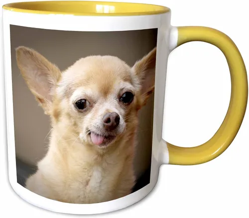 Vista 11 de 3dRose Taza de café, tamaño – 15 oz – Perro Chihuahua sin dientes, Santa Fe, Nuevo México – US32 JMR0502 – Julien McRoberts Dogs – divertido regalo