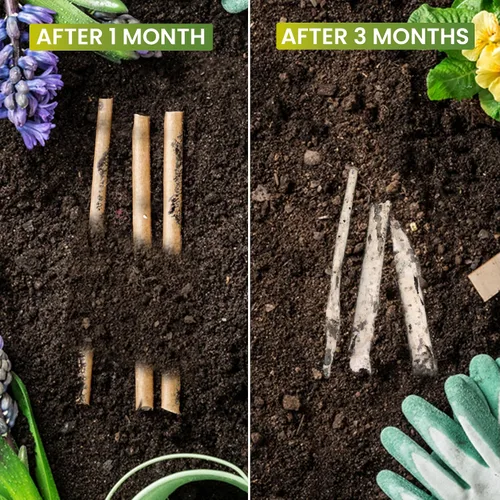 Vista 5 de Juego de 200 pajitas de coco biodegradables, desechables, sin plástico, ecológicas de fibra de coco a granel para bebidas frías y calientes