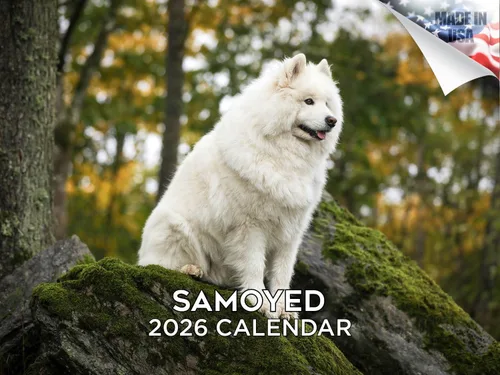 Vista 166 de Calendario de Lebrel Afgano 2025 2026, calendario mensual de pared de raza canina, 12" x 18" abierto, papel grueso sin traspaso, ideal para regalo