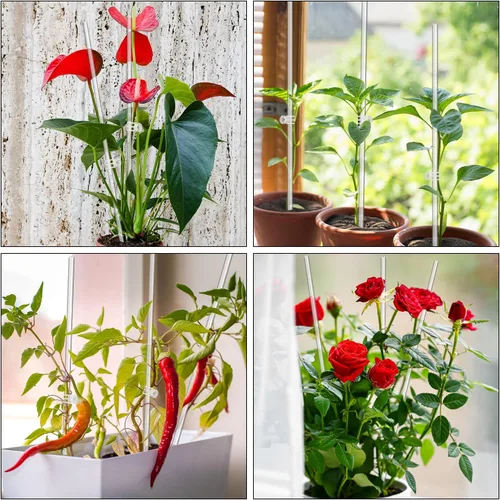 Vista 6 de Estacas para Plantas, Palos para Plantas 20 PCS Estacas de Soporte Acrílico Transparente para Plantas, 16 Pulgadas Estacas de Orquídea de Tallo