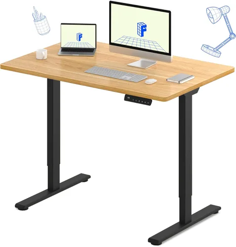 Vista 42 de FLEXISPOT Escritorio eléctrico de pie E3 con motor doble, 48 x 24