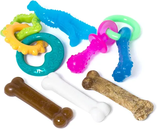 Vista 18 de Nylabone Puppy Chew - Hueso de perro con textura azul para dentición