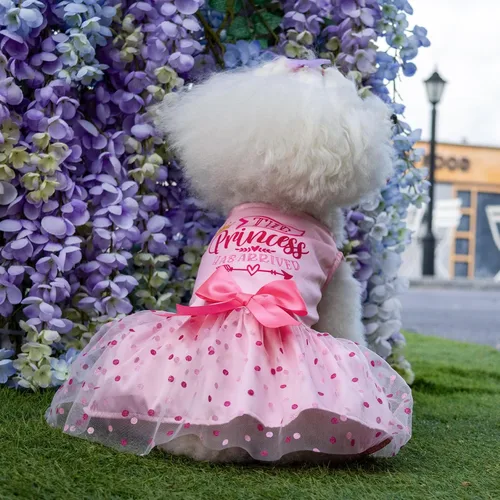 Vista 4 de CuteBone Vestido de cumpleaños para niña, ropa de princesa, disfraz de gato, ropa para perros pequeños, traje para mascotas, DD20XXS La princesa ha