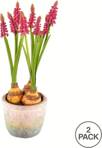 Vista 3 de Vickerman Everyday - Contenedor de cemento de jacintos artificiales de malva para interiores, arreglo decorativo de poliéster duradero, sin