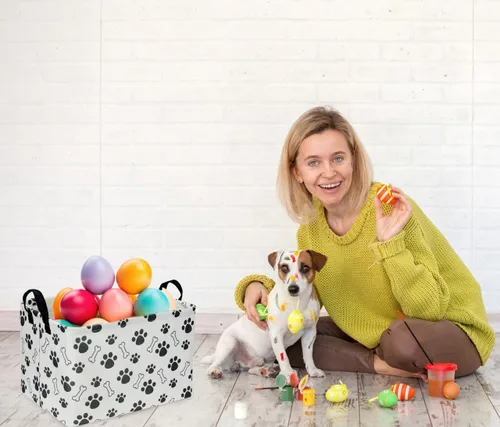 Vista 2 de Cesta Rectangular para Perros, Contenedor de Juguetes para Perros, Organizador de Cesta de Almacenamiento para Perros. Contenedor de Almacenamiento