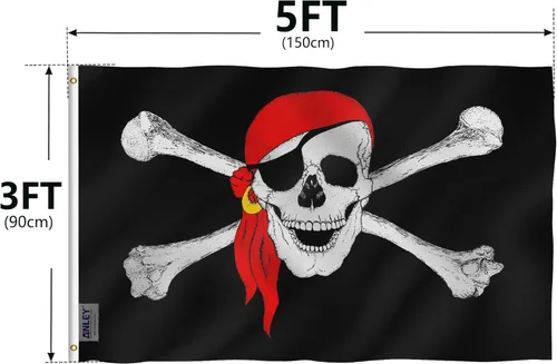 Vista 4 de Bandera pirata