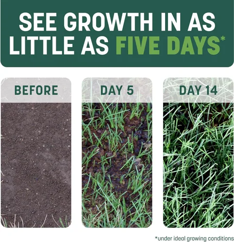 Vista 18 de Pennington Smart Patch Grass Seeds for Lawn, Sun and Shade Lawn Grass Repair Mix, 10 LB