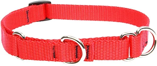 Vista 7 de LupinePet Basics - Collar martingala verde de 3/4 pulgadas, 14-20 pulgadas, para perros medianos y grandes