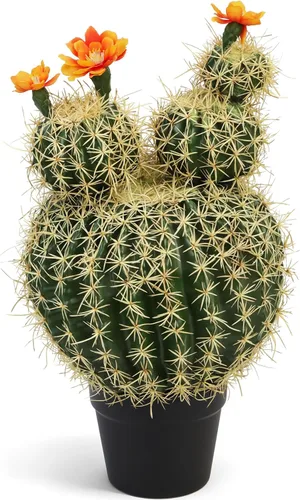 Vista 10 de Cactus artificiales de cactus falsos de 16 pulgadas para decoración del hogar, jardín, oficina, tienda
