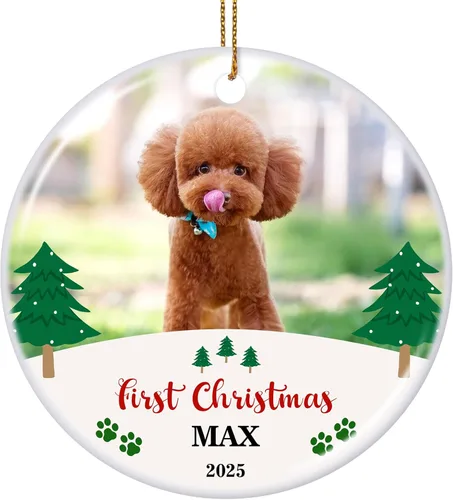 Vista 35 de Paquete de 4 adornos de Navidad personalizados 2025 de cerámica personalizada con foto y texto para decoración de árbol de Navidad, primera Navidad