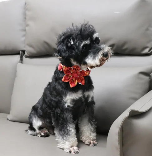 Vista 30 de Unique Style Paws Collar de perro de Halloween con lazo de algodón lindo pajarita para perros pequeños, medianos y grandes, vacaciones