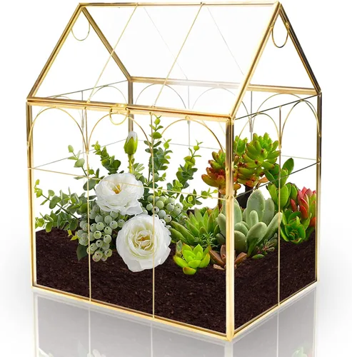 Vista 5 de HighFree Terrario geométrico para plantas con tapa, kit de terrario para suculentas para exhibición, plantas de aire, suculentas, terrario en Dorado