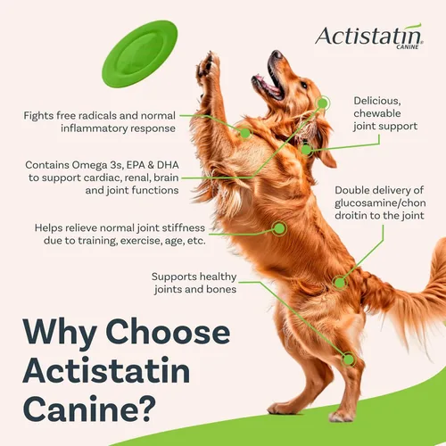 Vista 3 de Actistatin Masticables suaves caninos para perros grandes, 120 unidades – Articulación de fuerza extra patentada, cartílago, suplemento de tejido