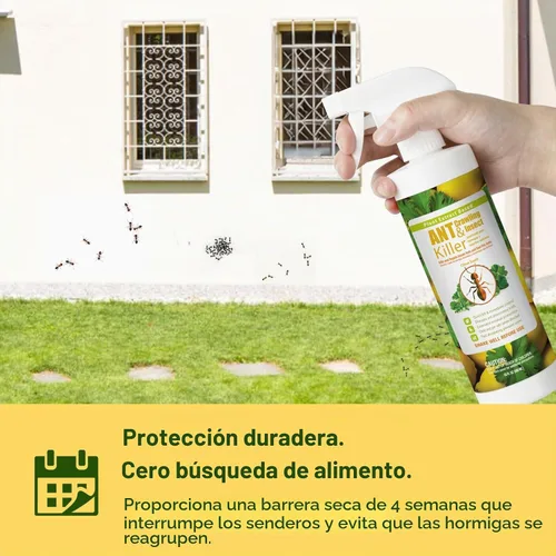Vista 4 de EcoRaider insecticida y hormiguicida (aroma de cítricos) de 16 oz, natural y no tóxico