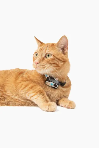 Vista 3 de Genuine MS-5® Designer Cat Collar for Automatic Doors Collar. Tested & Certified by High Tech Pet. Proven Reliable. Complies with Power Pet Door