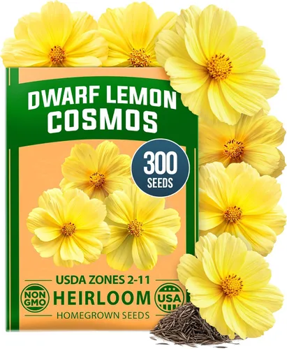 Vista 62 de HOME GROWN Semillas de zinnia rosa – 300 zinnias Luminosa 0.5g, semillas anuales de flores fáciles de cultivar para plantar al aire libre para 2026